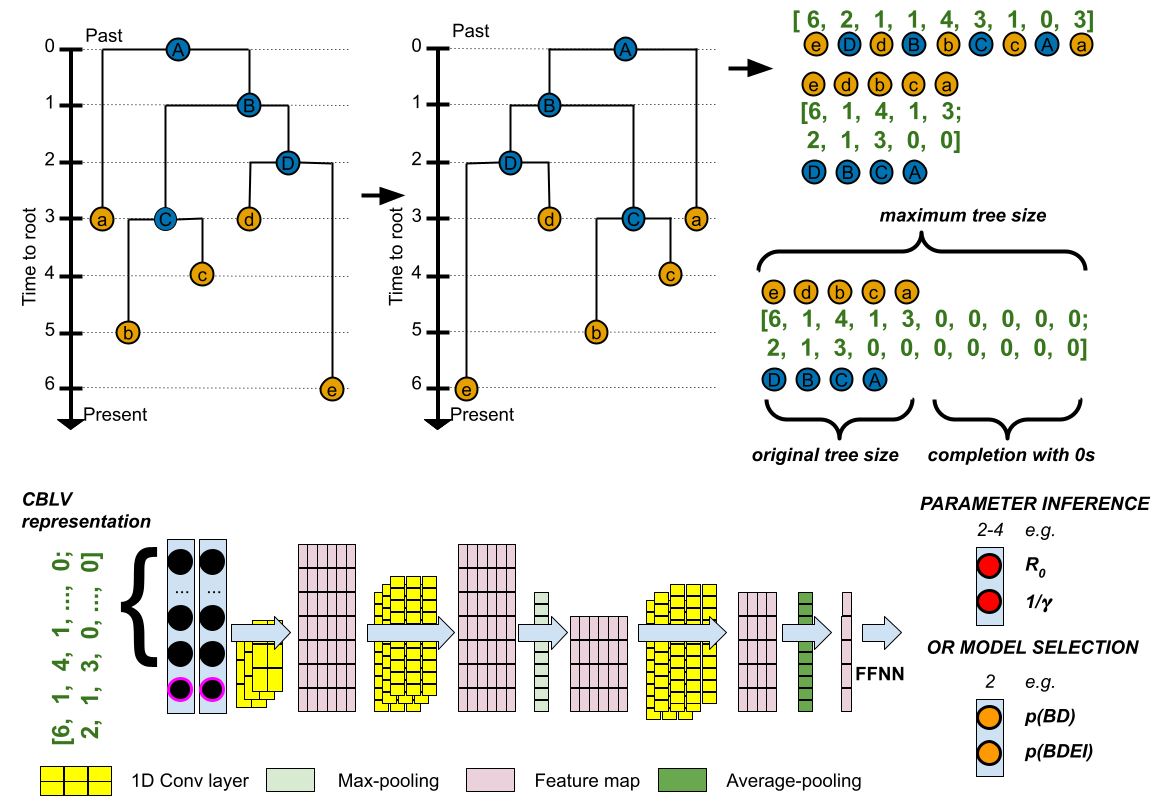 FIGURE 2 : Codage des arbres et apprentissage