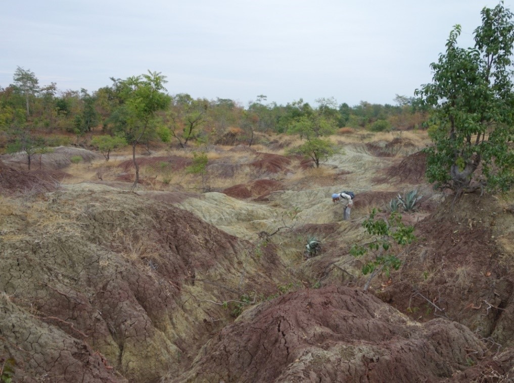 Site de Paukkaung Kyitchaung 