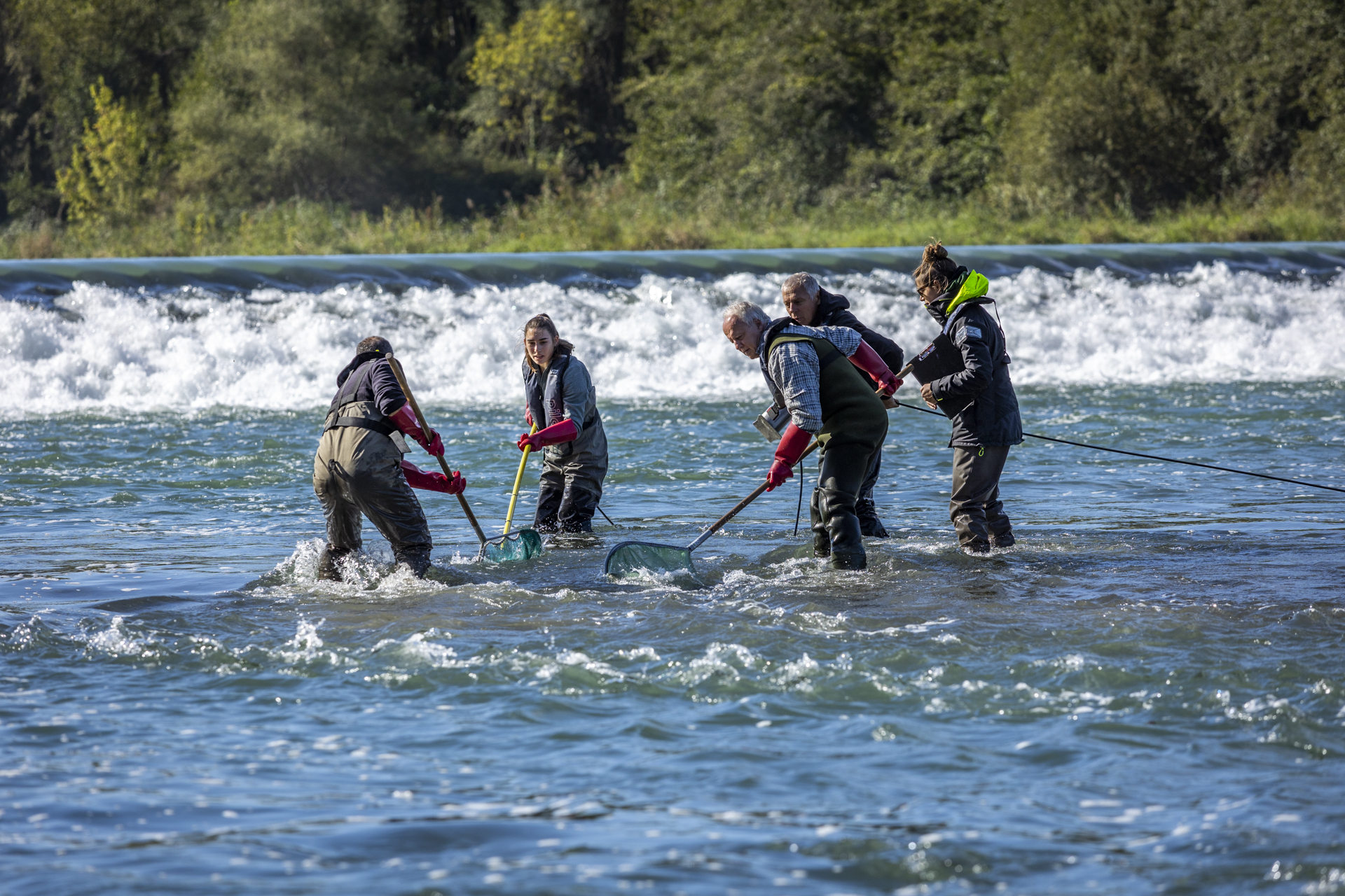 Chercheurs dans l'eau