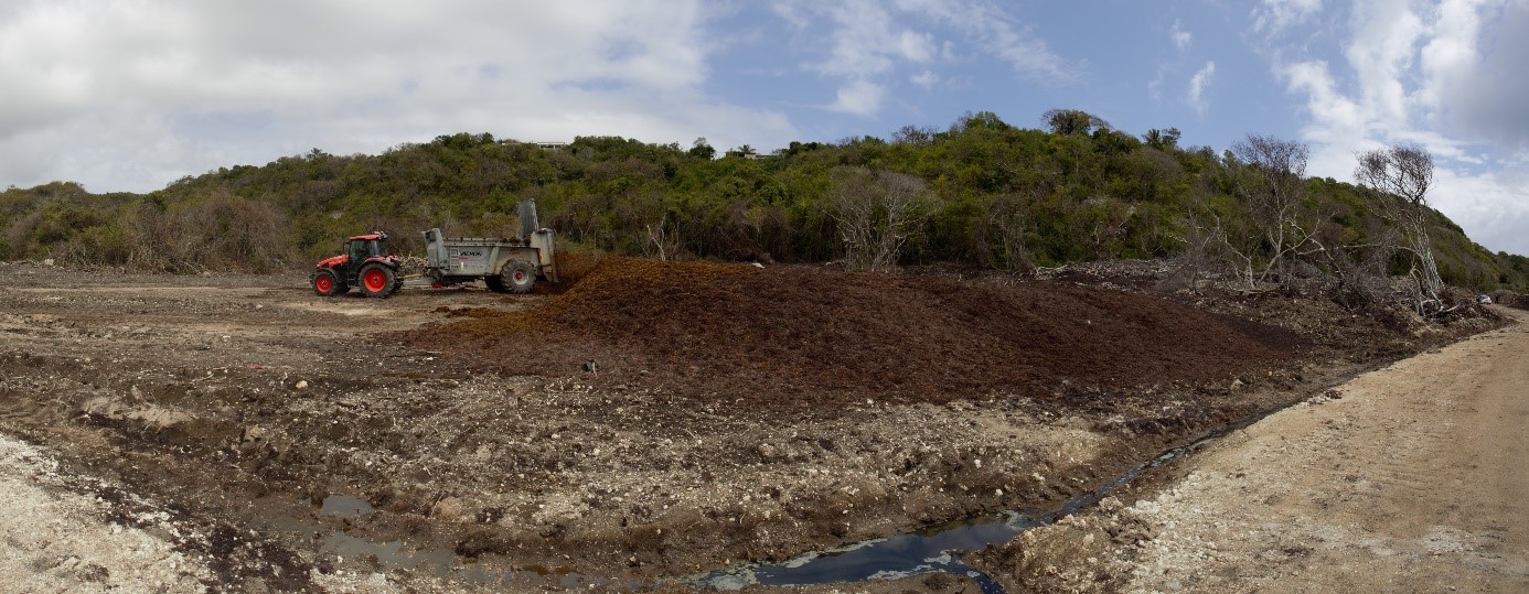 Site de stockage/épandage de sargasses à Marie Galante, Guadeloupe. © Pascal-Jean Lopez