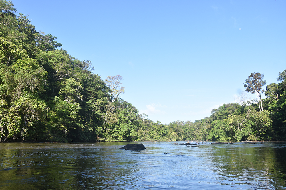 Guyane