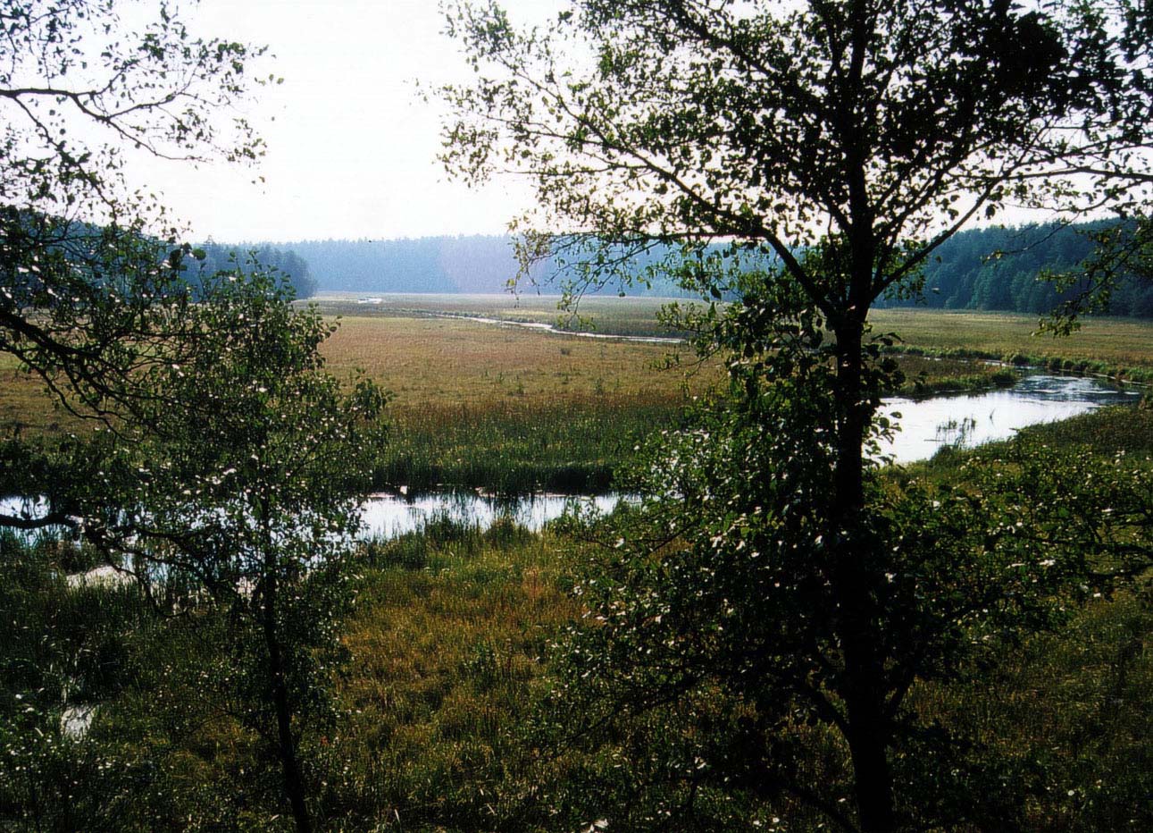 Vallée de la rivière Stążki