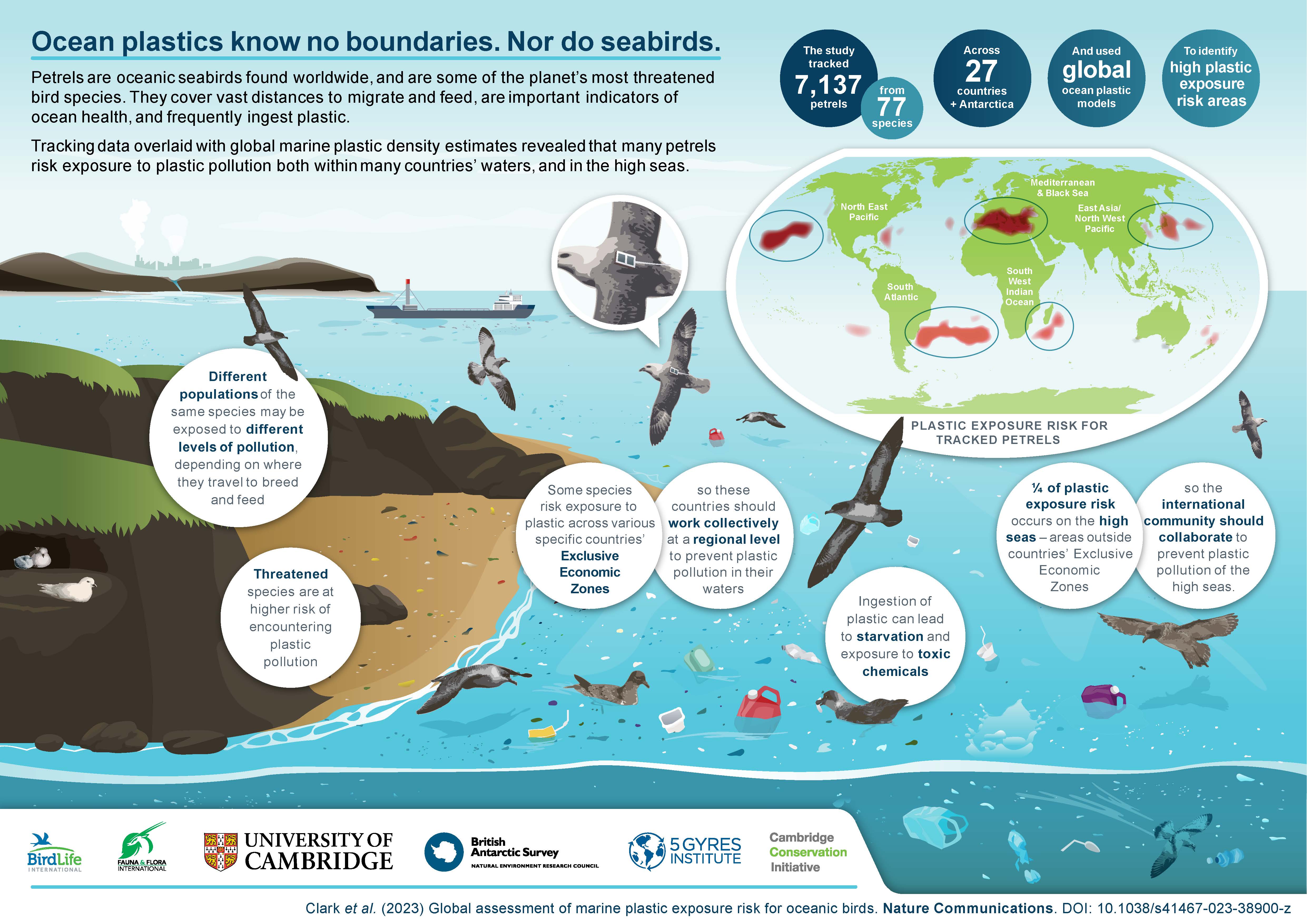 Infographie