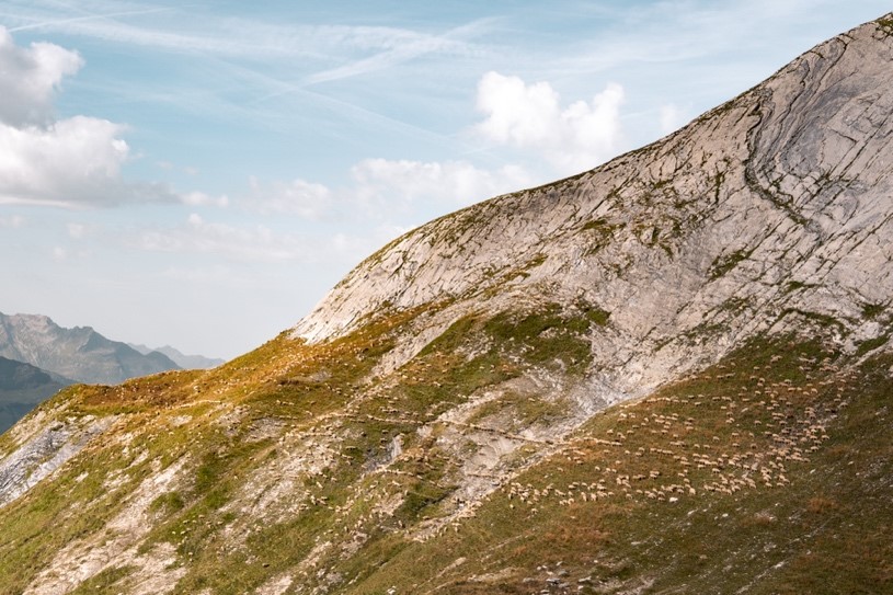 Pastoralisme dans les Alpes