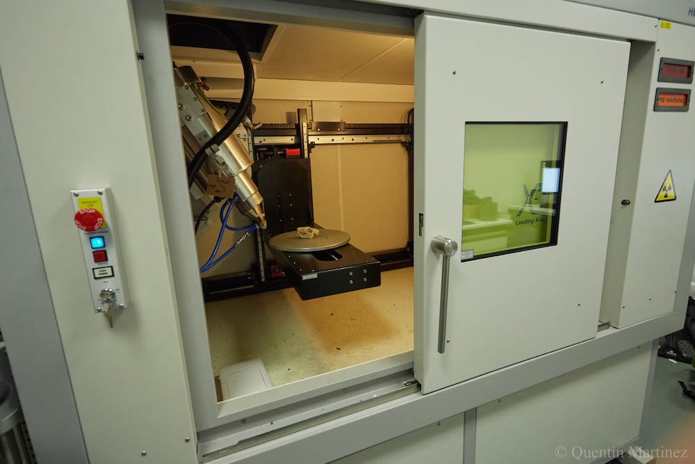 Crânes de rongeurs dans un scanner à rayons X