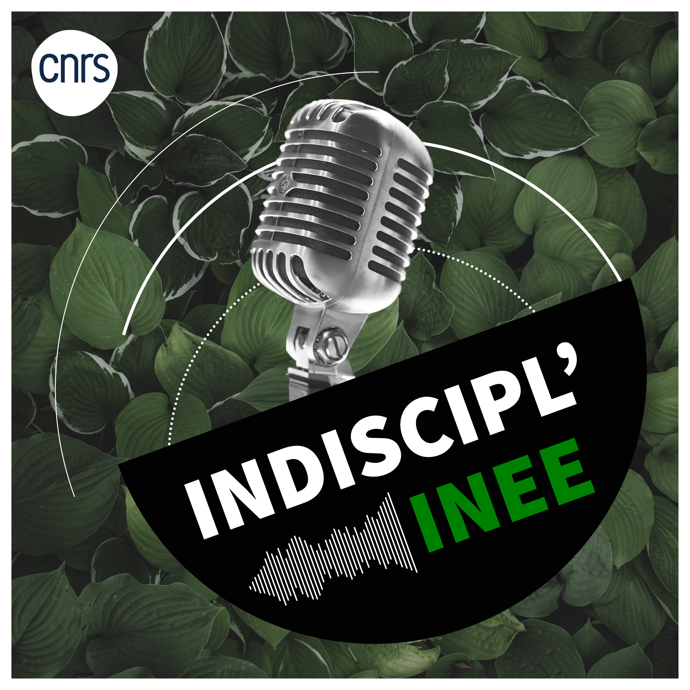 indiscipl'INEE plantes