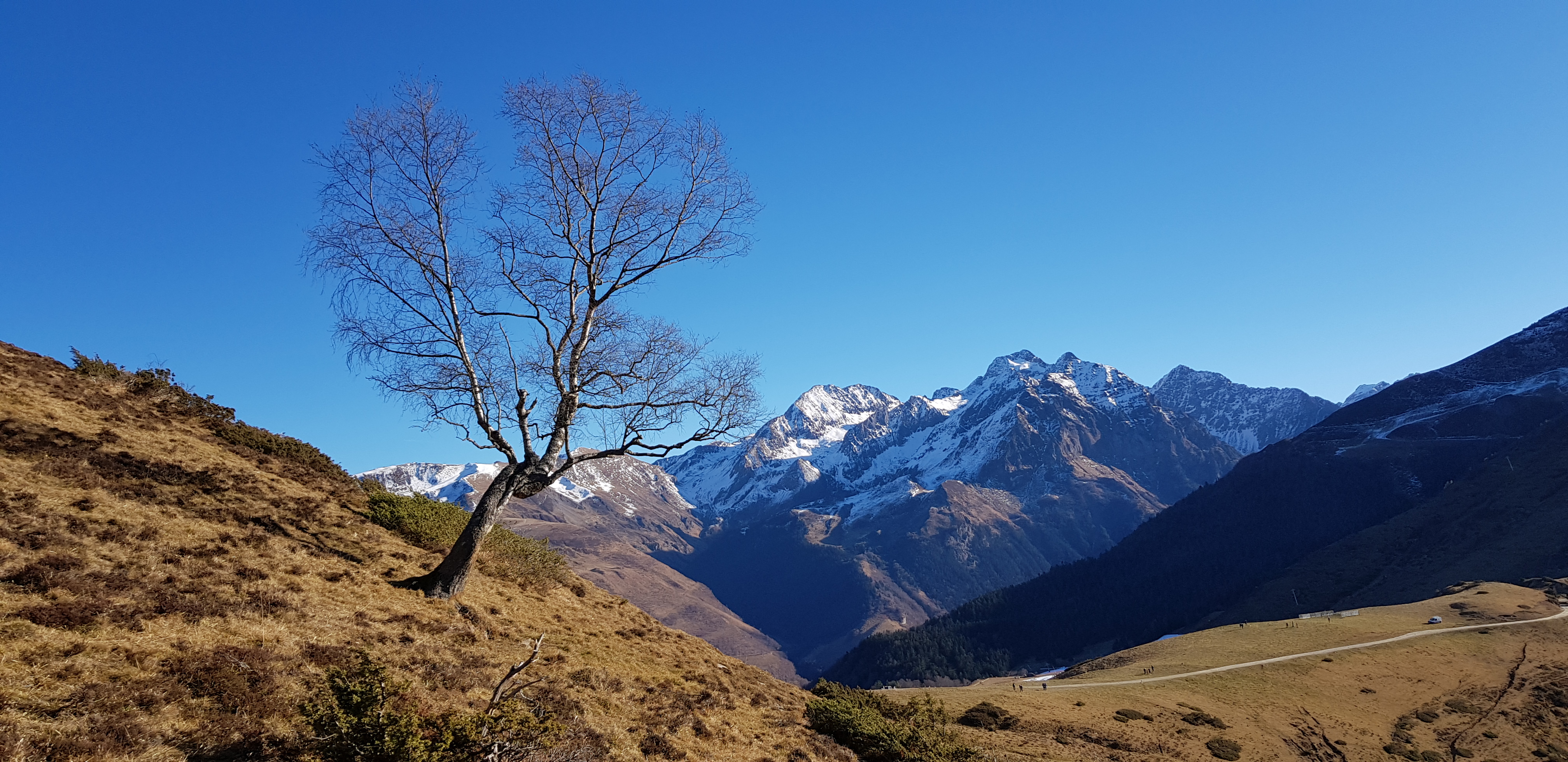 Pyrénées