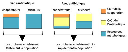 Image retirée.