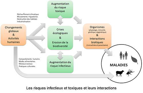 Image retirée.