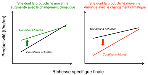 Image retirée.