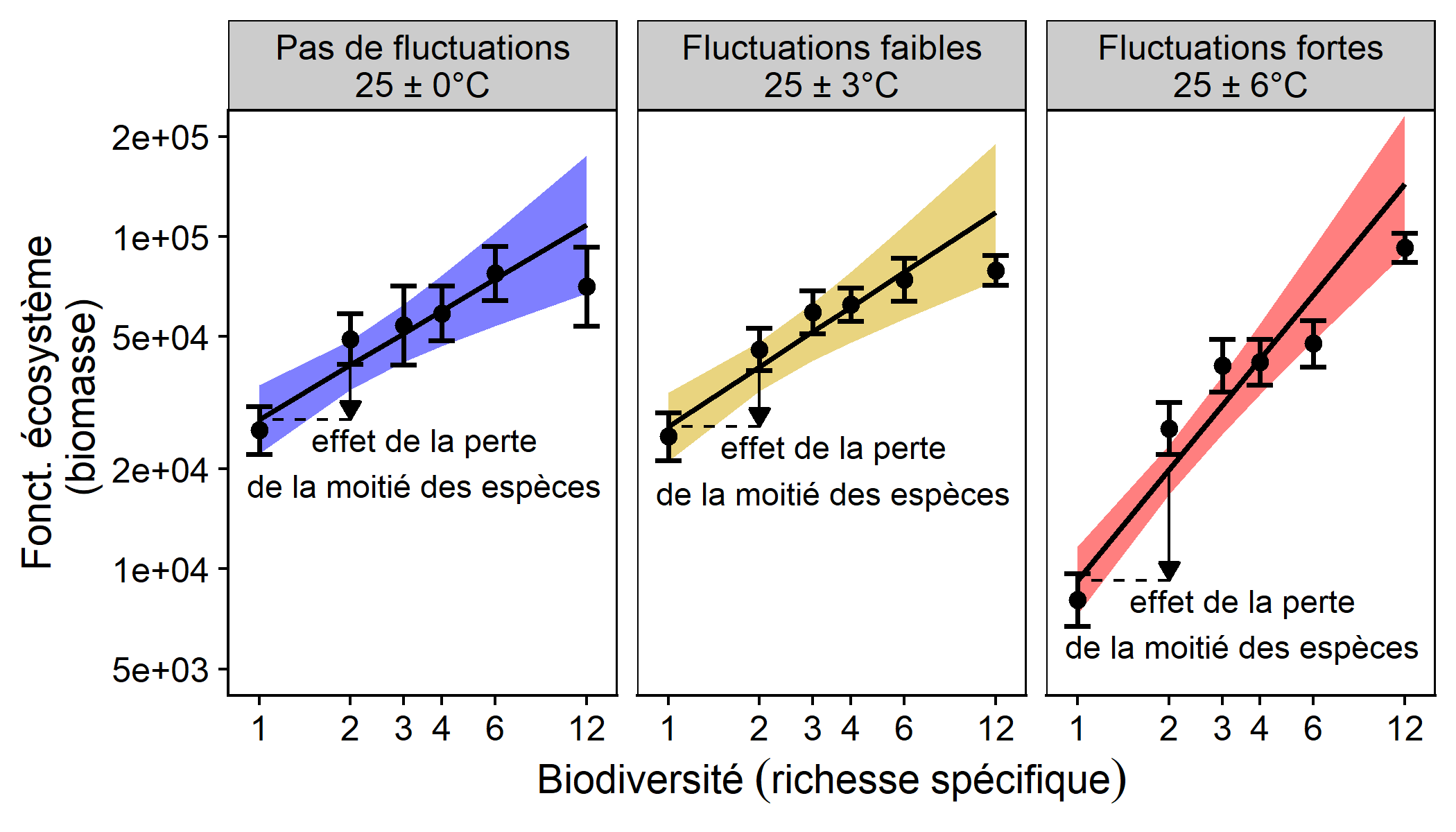 ffets combinés de la perte de biodiversité et de la variabilité de température sur le fonctionnement de communautés de phytoplancton.