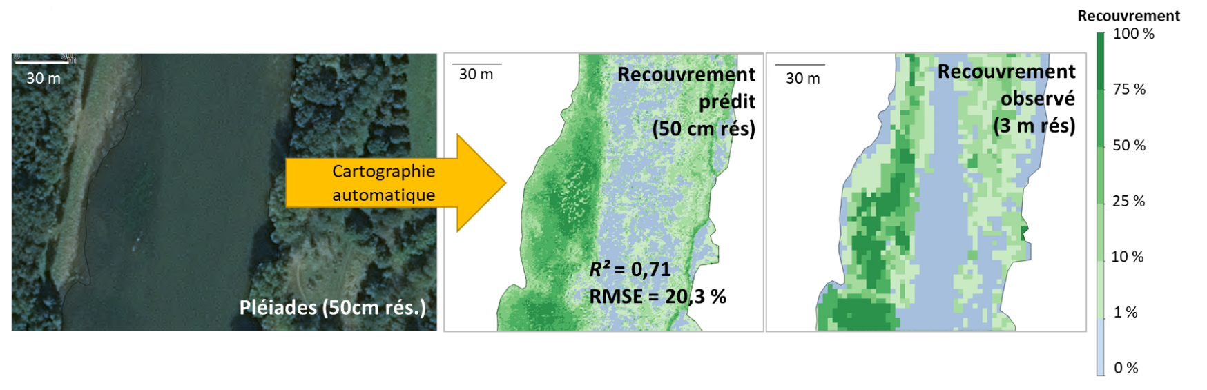 Résultats cartographiques du recouvrement total (prédit et observé) sur une portion du site d’étude. La carte de recouvrement prédit présentée ici est la meilleure carte automatique obtenue ; elle est issue d’un modèle de régression basé sur l’algorithme Random Forest, construit avec les bandes spectrales du rouge, vert, bleu et proche-infrarouge et le jeu de données de recouvrement de 880 quadrats. © D. Espel