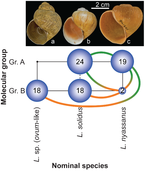 fig1