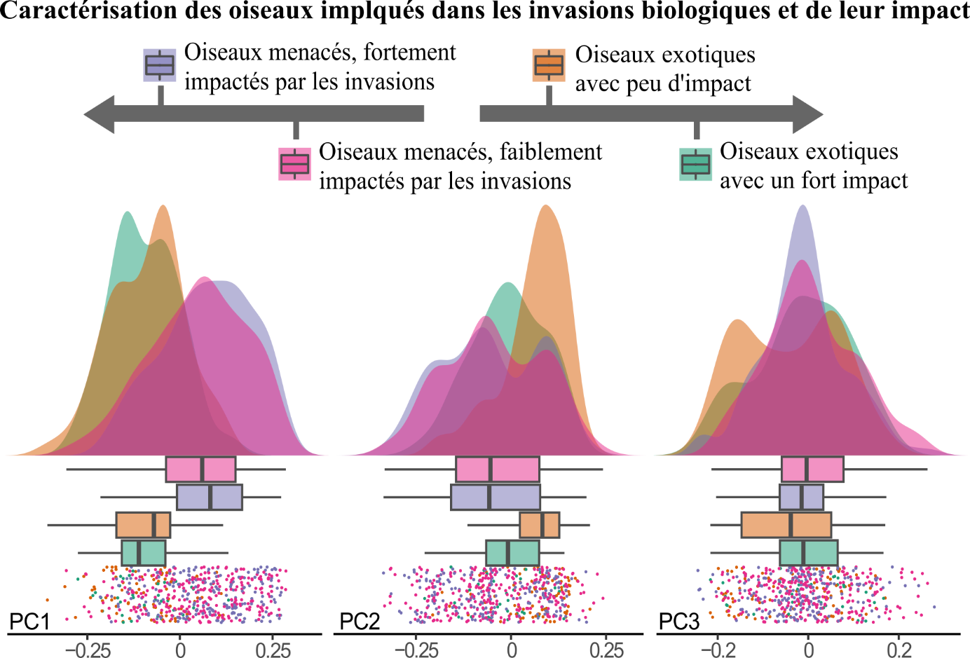 Caractérisation des oiseaux impliqués dans les invasions biologiques et de leur impact