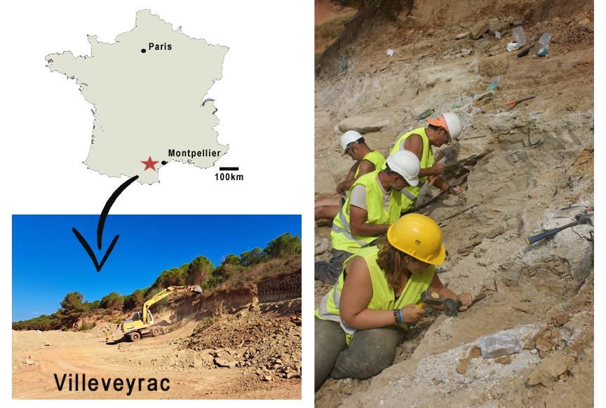 img_fouilles_villeveyrac