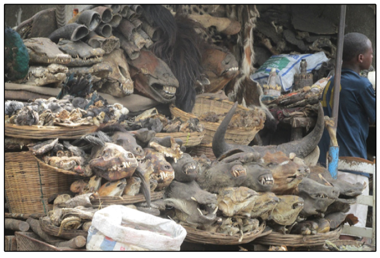 Etals sur le marché de dépouilles de Dantokpa (Cotonou), au Bénin © Stanislas Zanvo