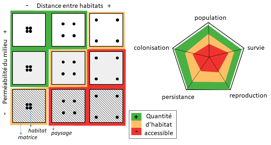 graphique_liens_albert