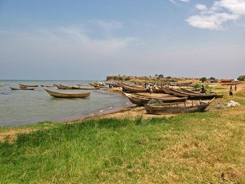 La côte du lac Albert proche de la ville de Kaiso