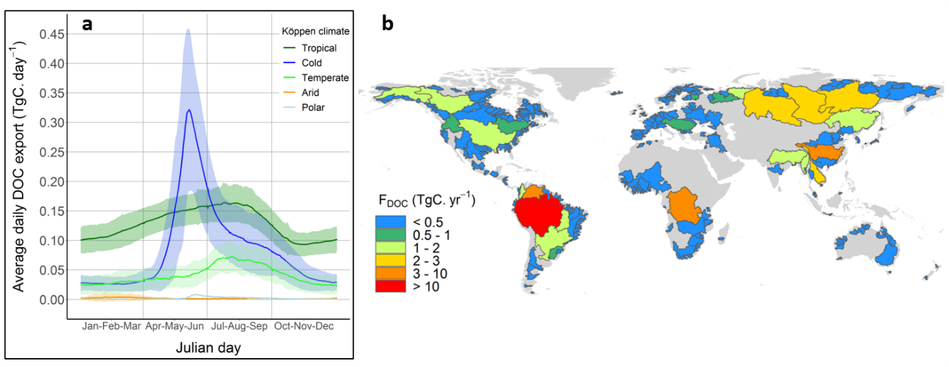 Flux moyens de carbone organique dissous exportés par les grands bassins versants vers les océans sur les deux dernières décennies : a) flux au pas de temps journalier (TgC.j-1) par type de climat ; b) flux moyens annuels par bassin versant (TgC.an-1).