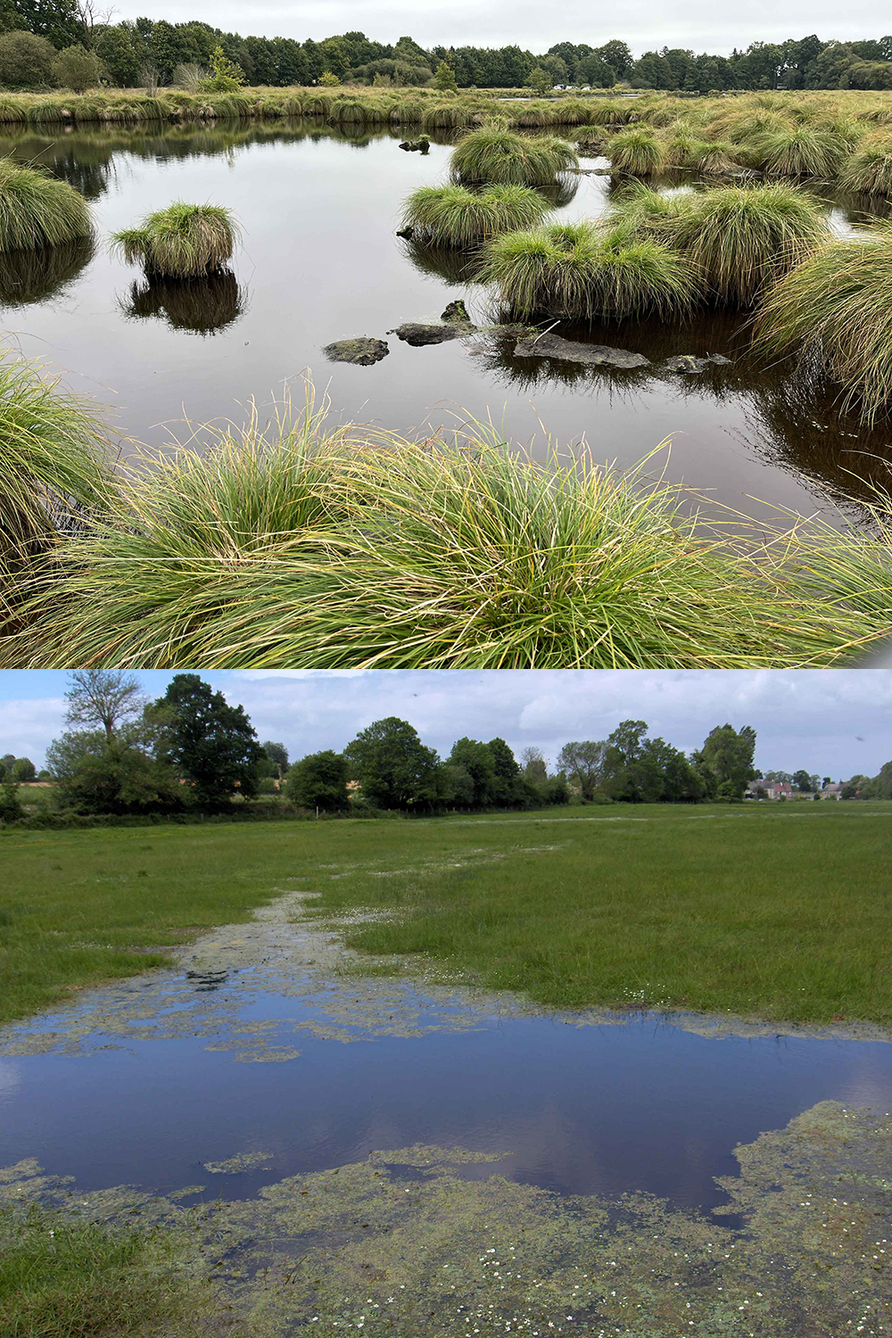 img_landemarais_rennes