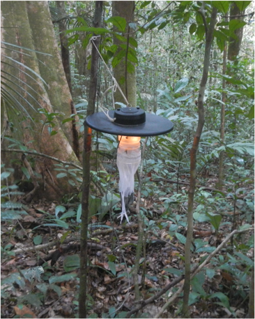 Piège entomologique installé en forêt. © Jérôme Murienne