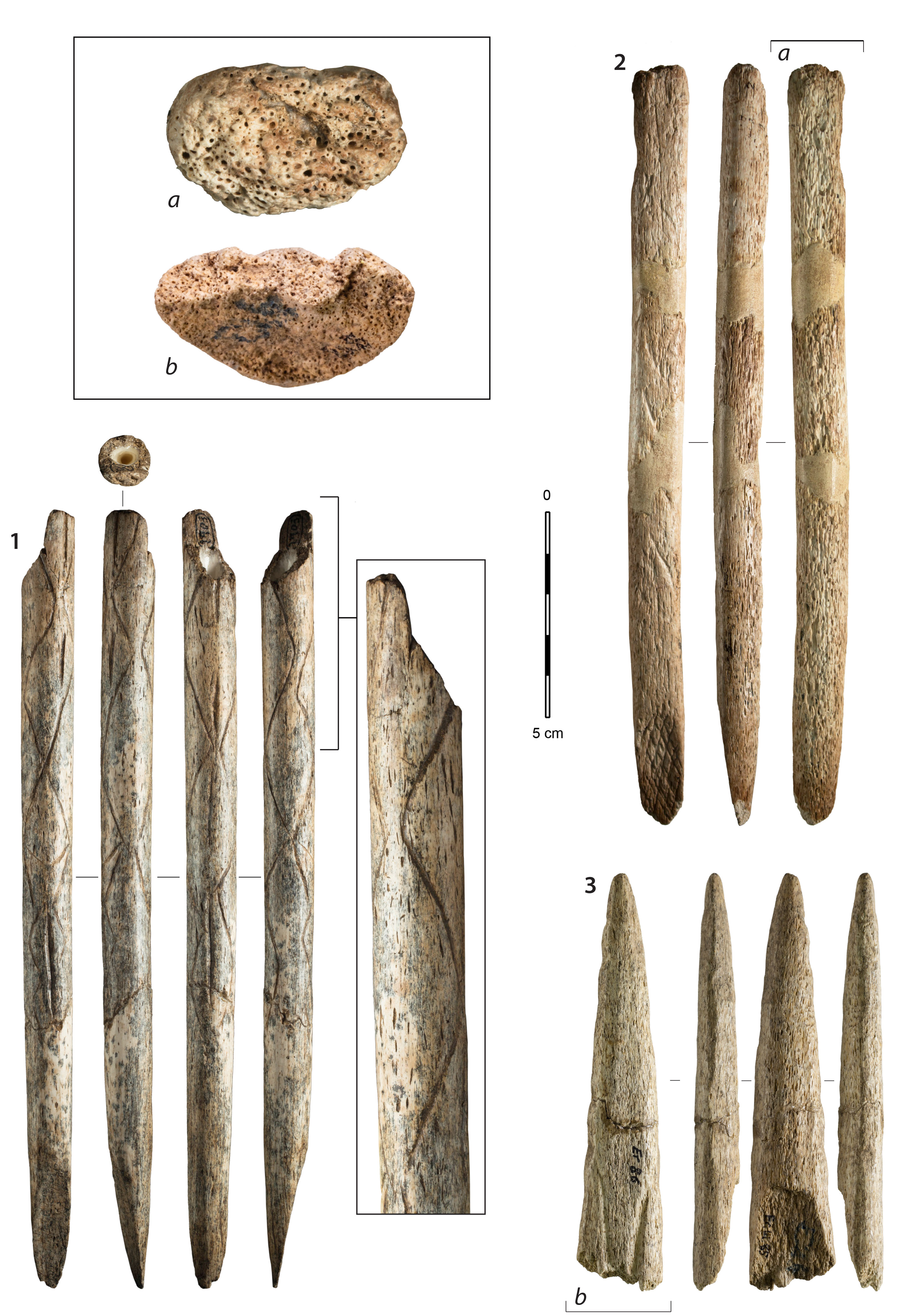 Figure 1. Exemples d’artefacts fabriqués en os de baleine retrouvés dans les collections magdaléniennes cantabriques, 1 : fragment de préhampe décorée (El Pendo), 2 : objet sur baguette indéterminé (Tito Bustillo), 3 : fragment distal de pointe de projectile (Ermittia), a et b : zooms sur la matière. 