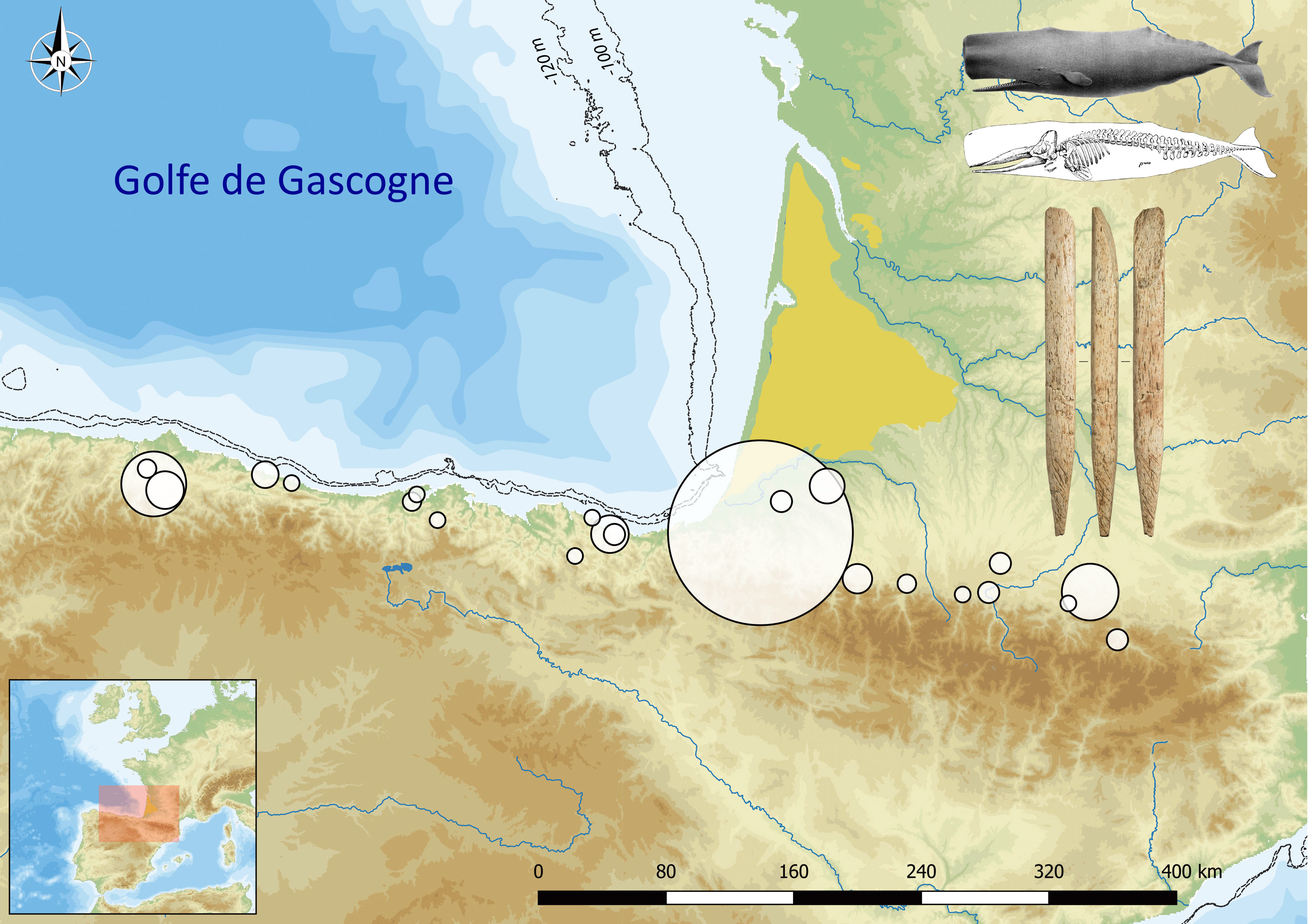 Figure 2. Distribution des objets fabriqués en os de baleine retrouvés dans les sites magdaléniens pyrénéo-cantabriques. La taille des cercles blancs est proportionnelle au nombre d’objets retrouvé par site. Les données cartographiques sont tirées de Reuter et al., 2007 ; Jarvis et al., 2008 ; Sitzia, 2014 ; les données bathymétriques proviennent de Natural Earth (www.naturalearthdata.com), et les données relatives aux objets fabriqués en os de baleine dans les Pyrénées sont tirés de Pétillon, 2013. La pièce figurée ici est une possible préhampe issue du site de las Caldas (Asturies).