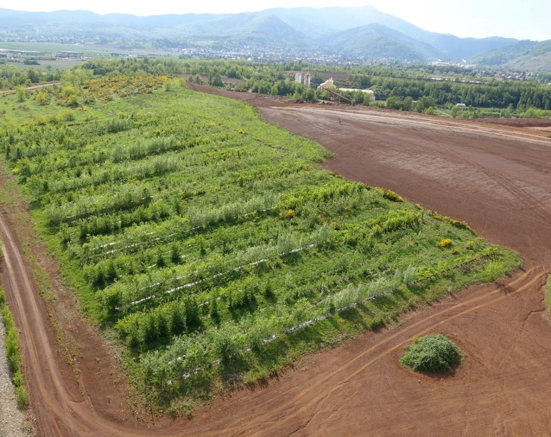 Photo aérienne de la parcelle expérimentale avec 16 espèces d’arbres plantées sur le site d’Ochsenfeld dans le cadre du projet PROLIPHYT. Crédit Photo : Gilles GALLINET, HEKLADONIA