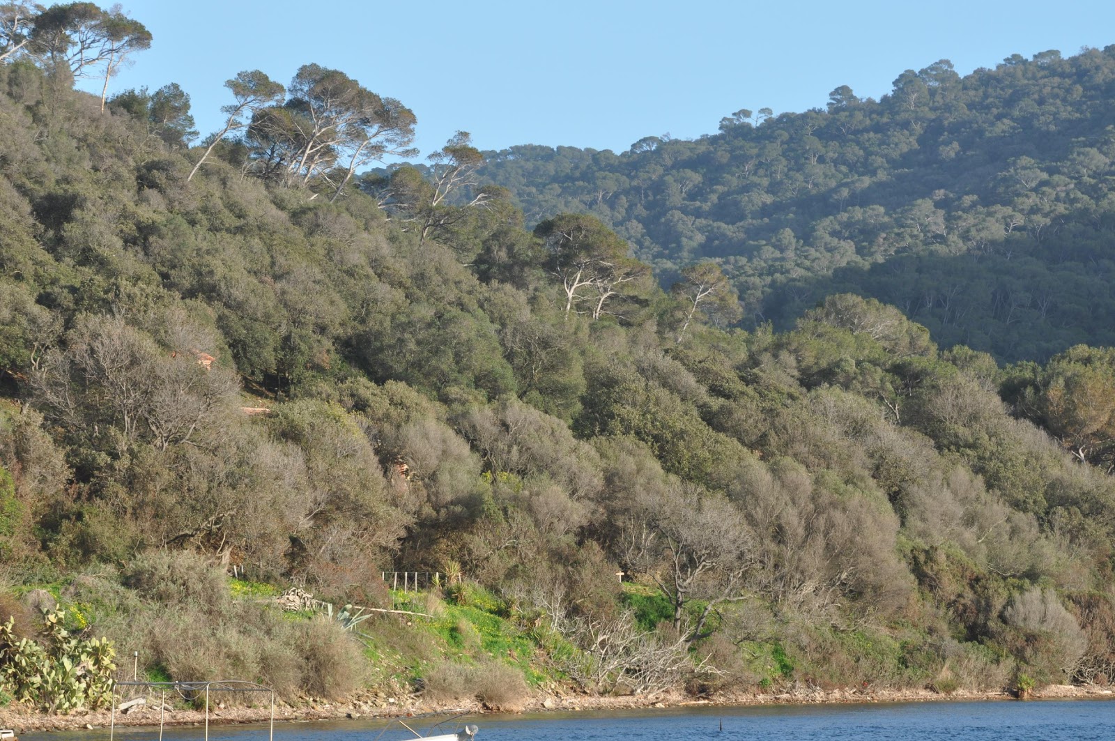 Les écosystèmes des îles de l’archipel de Hyères sont essentiellement constitués de forêts de chêne verts et de pinèdes, ainsi que de systèmes agricoles sur l’île de Porquerolles.