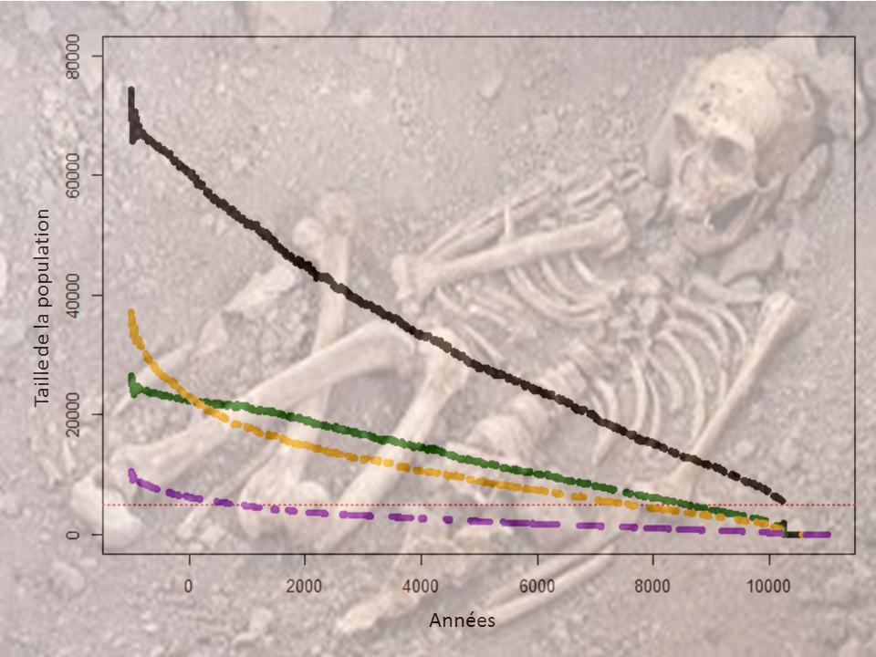 Graph reduction populations