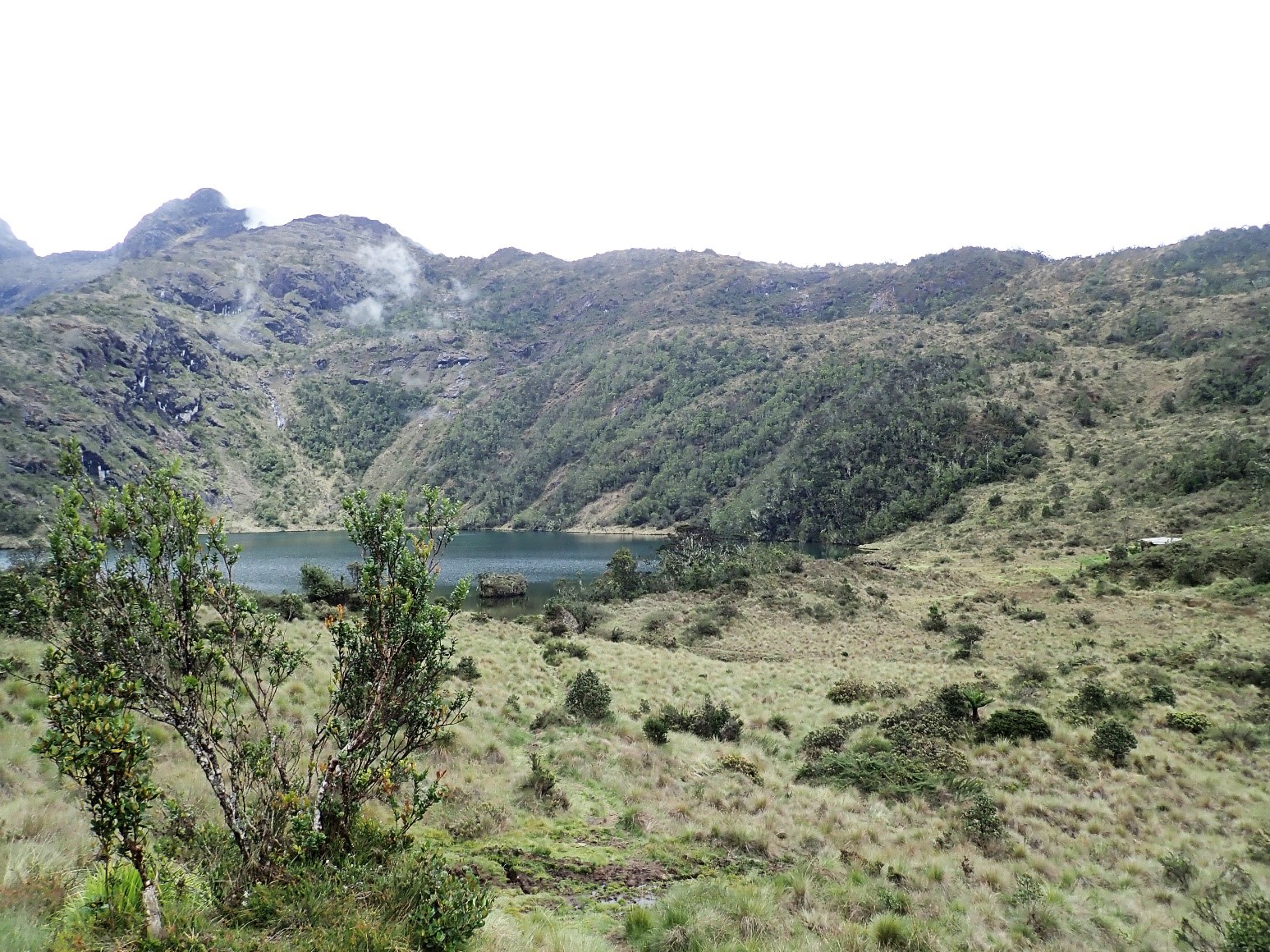 Lac Piunde (3800m) sur les pentes du Mont Wilhelm (province de Chimbu). © François-Xavier Ricaut - EDB