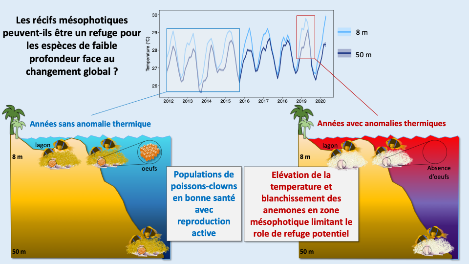 Schéma synthétique résumant les principaux résultats de l’étude.