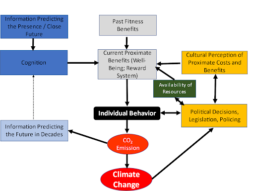 Figure adaptée de Schradin 2021, Trends in Ecology and Evolution