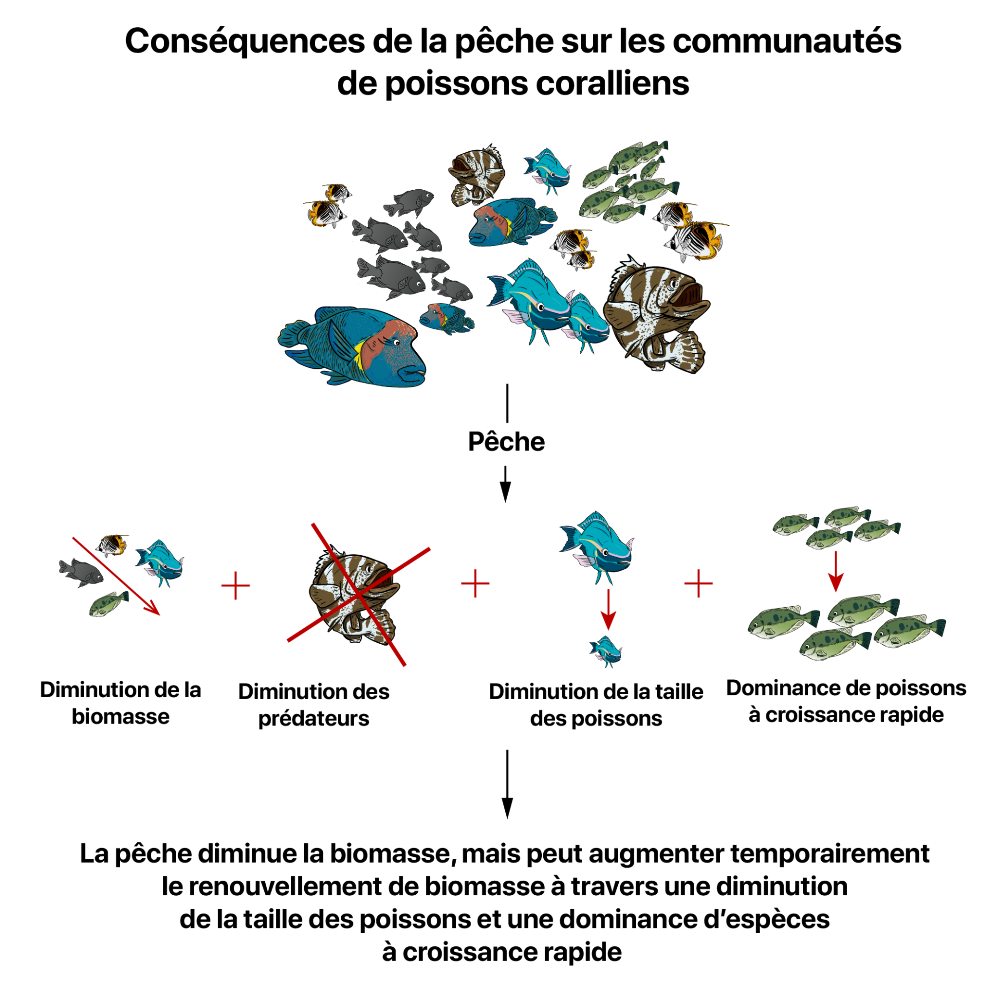 consequences peche