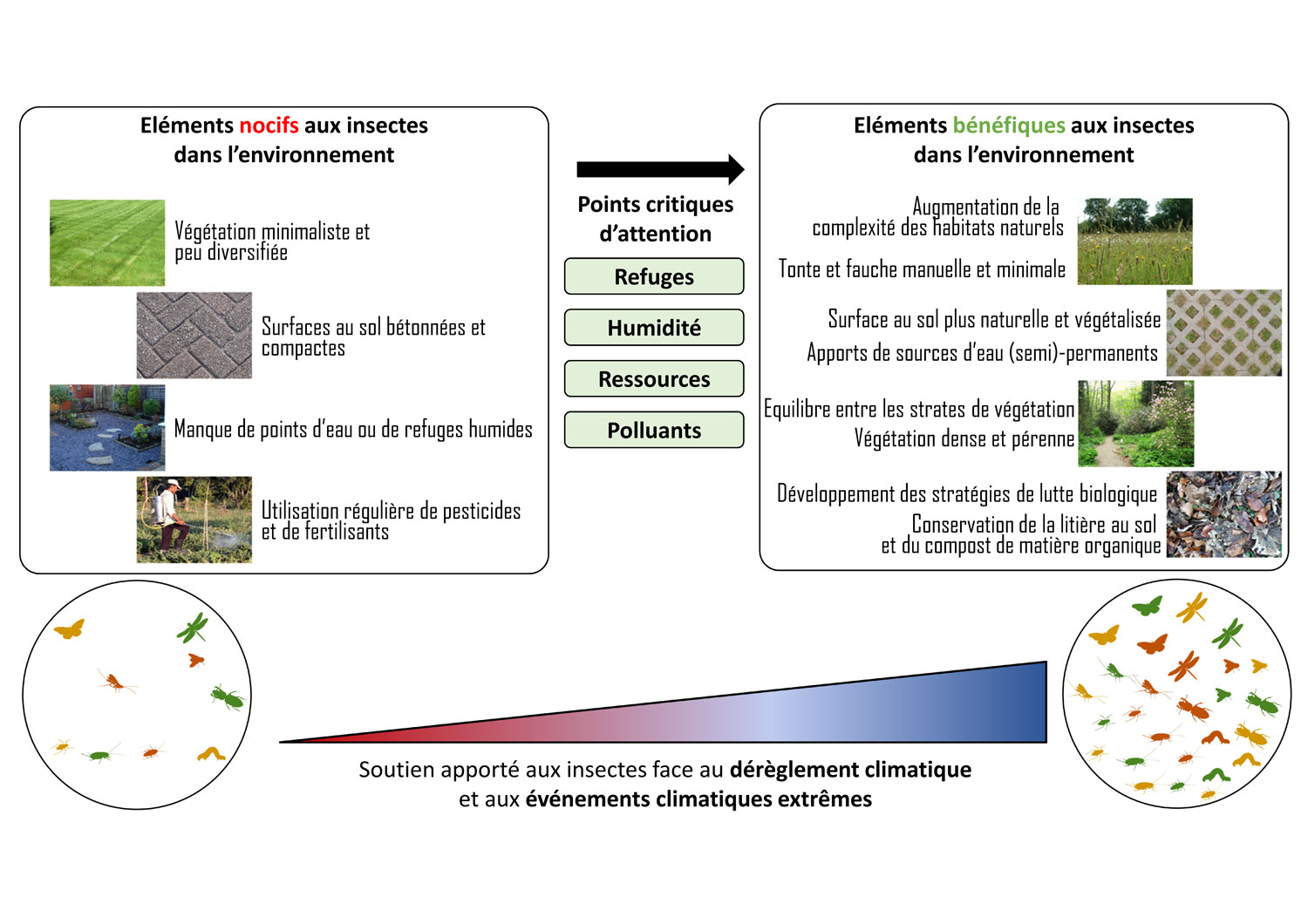 actions_pour_insectes