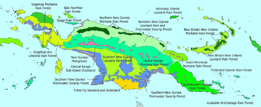 Carte des écorégions de Nouvelle-Guinée d’après World Wide Fund For Nature (©WWF https://wwf.panda.org/knowledge_hub/where_we_work/new_guinea_forests/area_forests_new_guinea/)