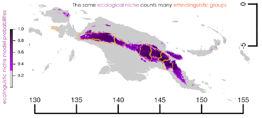 Les groupes linguistiques de la cordillère centrale de Nouvelle-Guinée partagent la même niche environnementale (violet). Les polygones oranges représentent les aires de sept groupes linguistiques (respectivement, d’ouest en est : langues trans neo-guinéennes occidentales, Uhunduni, Mek, Engan, Chimbu Wahgi, Kainantu Goroka et Angan). Illustration : N. Antunes. W. Schiefenhövel, M. Vanhaeren.