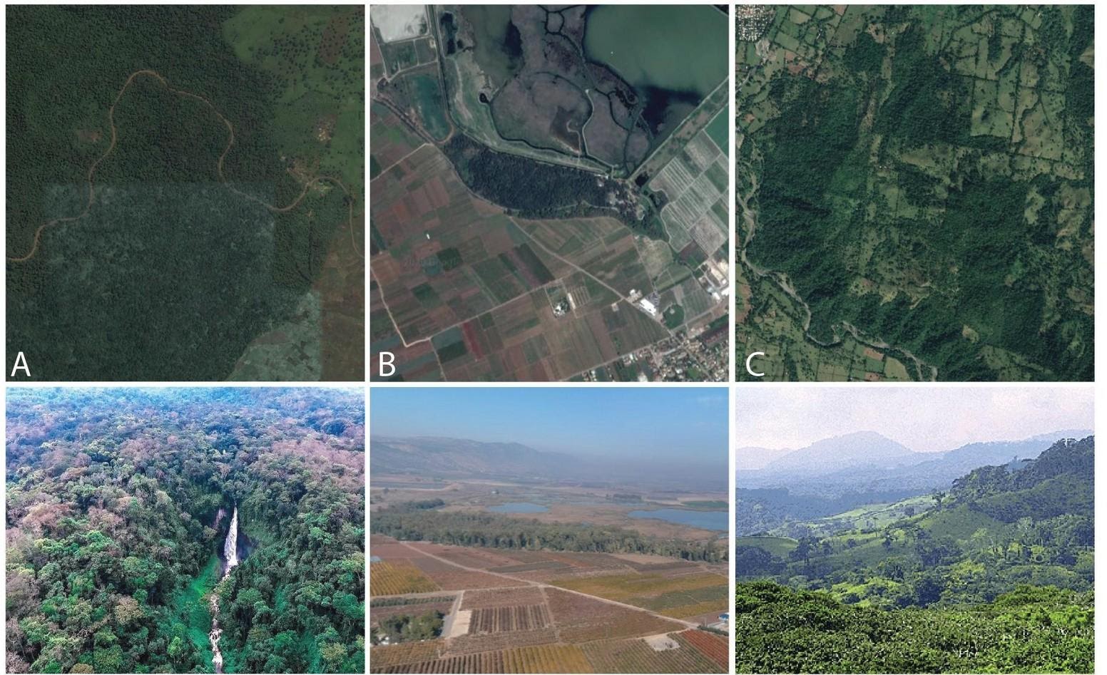 Exemple d’aires protégées parmi les plus importantes du monde en termes de biodiversité selon cette étude : A- Parc national de Kahuzi-Biega en République Démocratique du Congo (Catégorie IUCN II) ; B- Réserve naturelle d’Hula en Israël (Catégorie IUCN IV) ; C- Los Tuxtlas (Zona de Amortiguamiento) au Mexique (Catégorie IUCN VI). Crédits : Forest Service/USDA (public domain), Google Earth, Semarnat