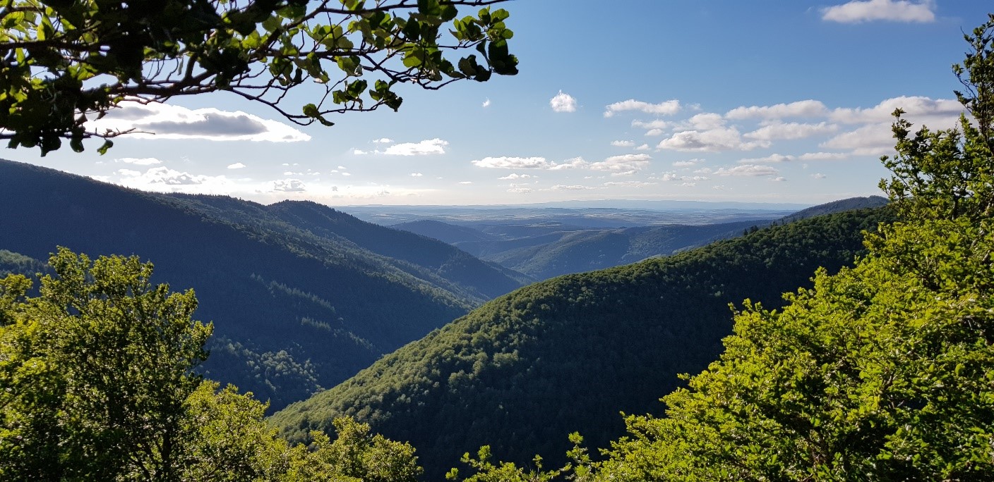 Vue sur le massif de l’Aigoual
