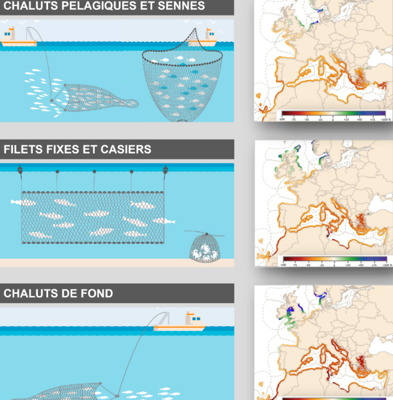 Les impacts du réchauffement climatique sur la pêche - Deklic