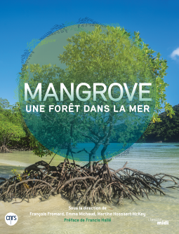 Mangrove, une forêt dans la mer