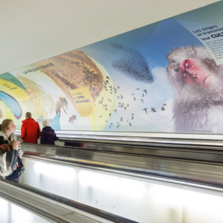 L'exposition "Étonnant Vivant", dans le couloir de correspondance de Montparnasse-Bienvenüe.