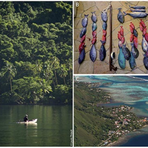 L’effort de pêche dans le lagon de Moorea cartographié