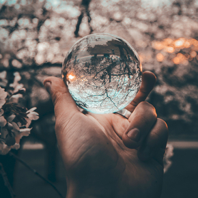 La planète dans une boule de cristal - enjeux et limites de la prédiction en écologie