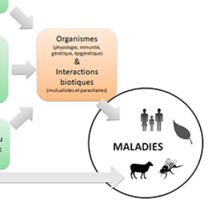 One Health. Ambitions, défis et difficultés d’une approche incontournable pour la santé