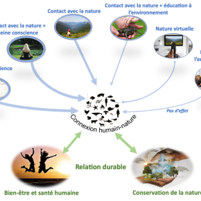 Renforcer le sentiment d’appartenance à la nature, une stratégie gagnant-gagnant pour l’humain et la nature